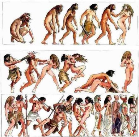 История Эволюции человечества (5 Рисунков)