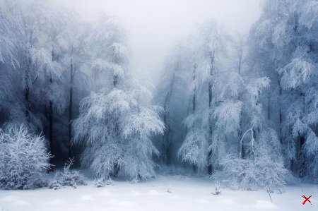 Волшебные зимние пейзажи 38 Foto